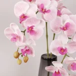 Real Touch Phalaenopsis Orchid Stem Pink  - Image 3