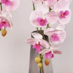 Real Touch Phalaenopsis Orchid Stem Pink  - Image 5