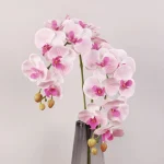 Real Touch Phalaenopsis Orchid Stem Pink  - Image 6