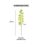 Real Touch Phalaenopsis Orchid Stem Green - Image 2
