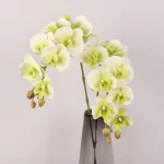 Real Touch Phalaenopsis Orchid Stem Green - Image 3