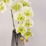 Real Touch Phalaenopsis Orchid Stem Green - Image 4