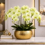 Real Touch Phalaenopsis Orchid Stem Green - Image 6