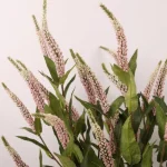 Artificial Banksia Leaf Spray  - Image 8