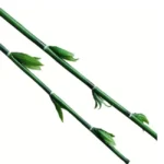 Artificial Bamboo Stem 