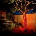 TAITA 10M Decorative LED Strip Light 5mm series - Image 15