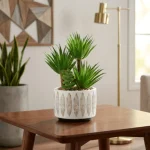 Artificial Succulent Potted Arrangement in Palm Style - Image 4