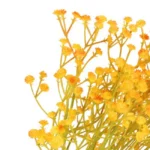 Artificial Baby’s Breath Gypsophila Stem  - Image 23