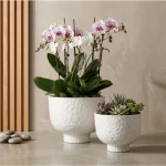 Raised Bowl Plastic Planter White