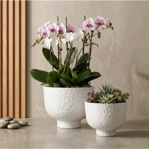 Raised Bowl Plastic Planter White