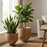 Textured Raised Bowl Plastic Planter Brown - Image 4