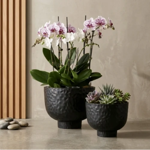 Raised Bowl Plastic Planter Black