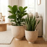 Textured Raised Bowl Plastic Planter Beige - Image 5