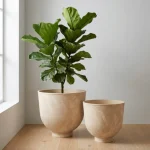 Raised Bowl Plastic Planter Beige