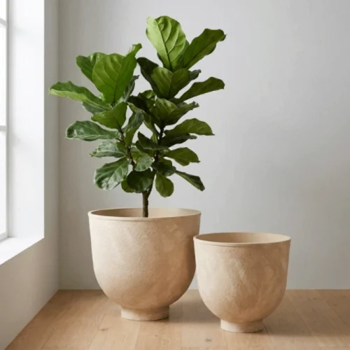 Raised Bowl Plastic Planter Beige