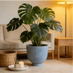 Textured Raised Bowl Plastic Planter Light Gray - Image 6