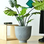 Textured Raised Bowl Plastic Planter Light Gray - Image 7