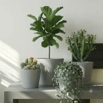 Minimalist Mini Wide Rim Round Planter Light Gray - Image 8