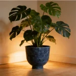 Textured Raised Bowl Plastic Planter Dark Gray - Image 8