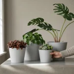 Minimalist Mini Wide Rim Round Planter Light Gray - Image 7