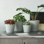 Mini Wide Rim Round Planter Light Gray