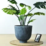 Textured Raised Bowl Plastic Planter Dark Gray - Image 5
