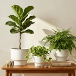 Minimalist Mini Classic Round Plastic Planter White - Image 7