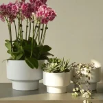 Minimalist Mini Classic Round Plastic Planter White - Image 9