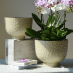 Hammered Raised Bowl Plastic Planter Beige - Image 4