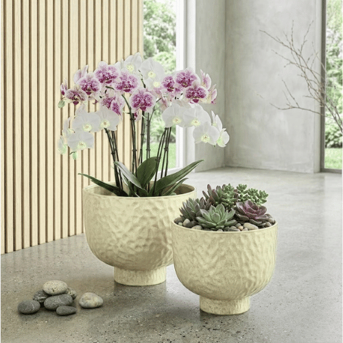 Raised Bowl Plastic Planter Beige