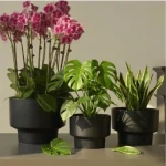 Minimalist Mini Classic Round Plastic Planter Black - Image 6