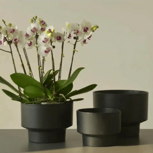 Classic Round Plastic Planter Black