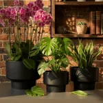 Minimalist Mini Classic Round Plastic Planter Black - Image 7