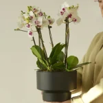 Minimalist Mini Classic Round Plastic Planter Black - Image 8