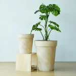 Textured Tapered Rim Plastic Planter Beige - Image 8