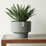 Minimalist Mini Classic Round Plastic Planter Blue Gray - Image 6