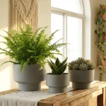 Minimalist Mini Classic Round Plastic Planter Blue Gray - Image 8