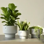 Classic Round Plastic Planter light Gray