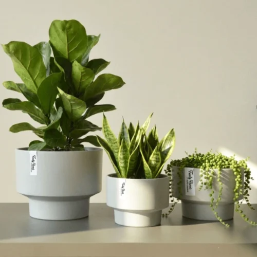 Classic Round Plastic Planter light Gray