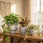 Minimalist Mini Classic Round Plastic Planter light Gray - Image 8