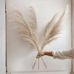 Natural Pampas Grass Stem - Image 6