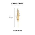Natural Pampas Grass Stem - Image 2