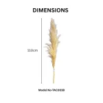 Natural Pampas Grass Stem - Image 3