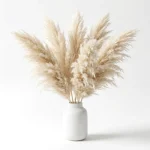 Natural Pampas Grass Stem - Image 8