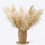 Natural Pampas Grass Stem - Image 10