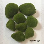 Decorative Moss Stones - Image 5