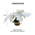 Ivory Orchid Luxe Arrangement - Image 2