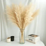 Natural Pampas Grass Stem - Image 13