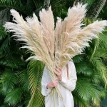 Natural Pampas Grass Stem - Image 7