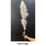 Natural Grey Pampas Grass Stem - Image 3